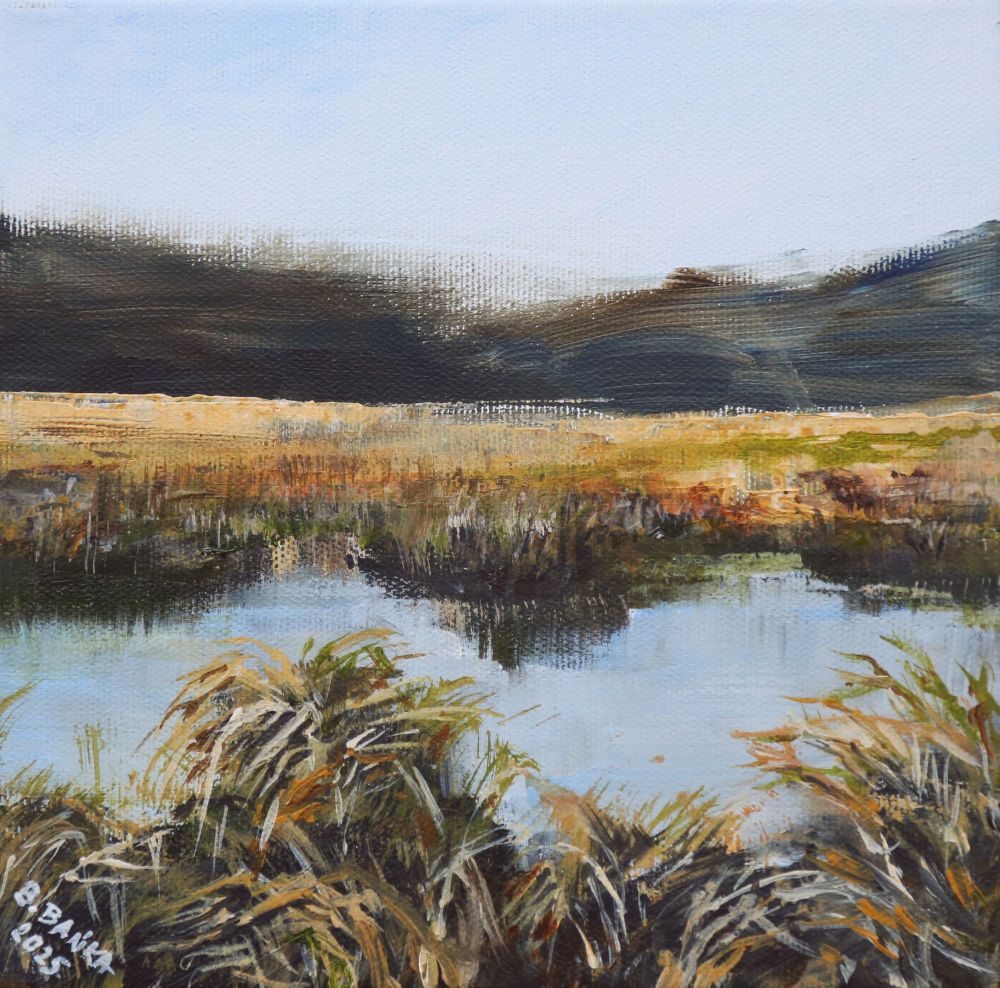 What's New At The Beavers?, 2025 - Barbara Bańka