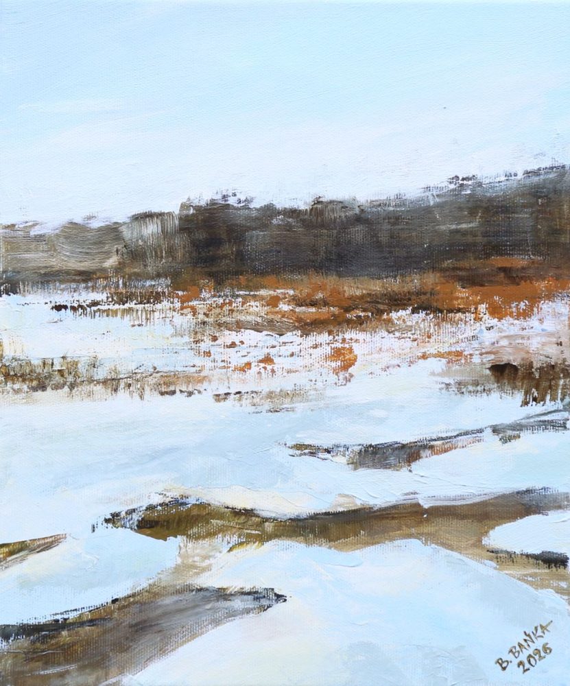 The Valley, 2026 - Barbara Bańka