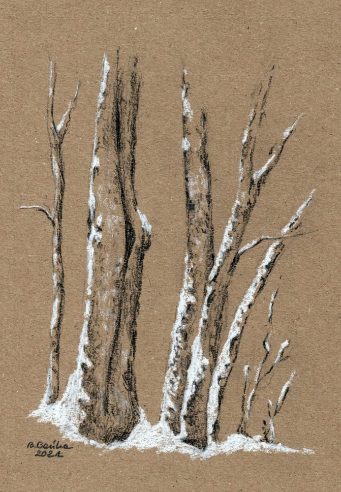 Drzewa w śniegu, 2021 - Barbara Bańka