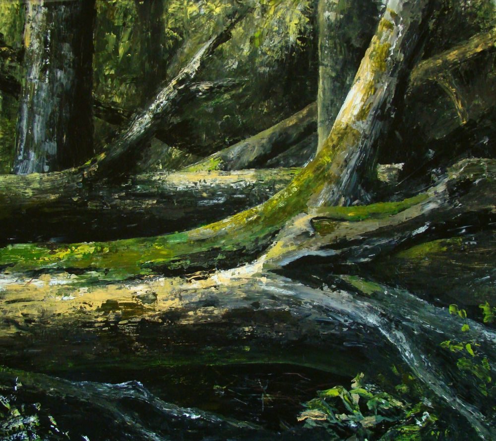 Forest Tangle, 2013 - Barbara Bańka