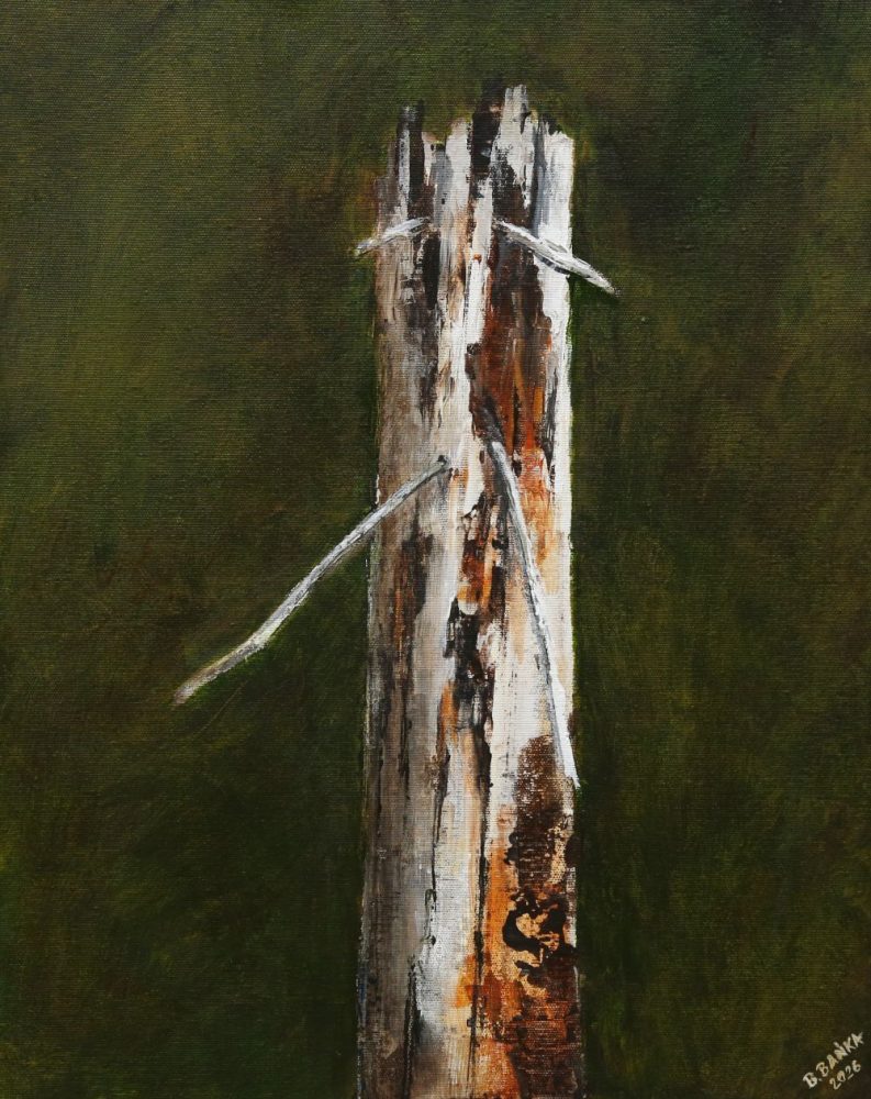 On The Pick, 2026 - Barbara Bańka