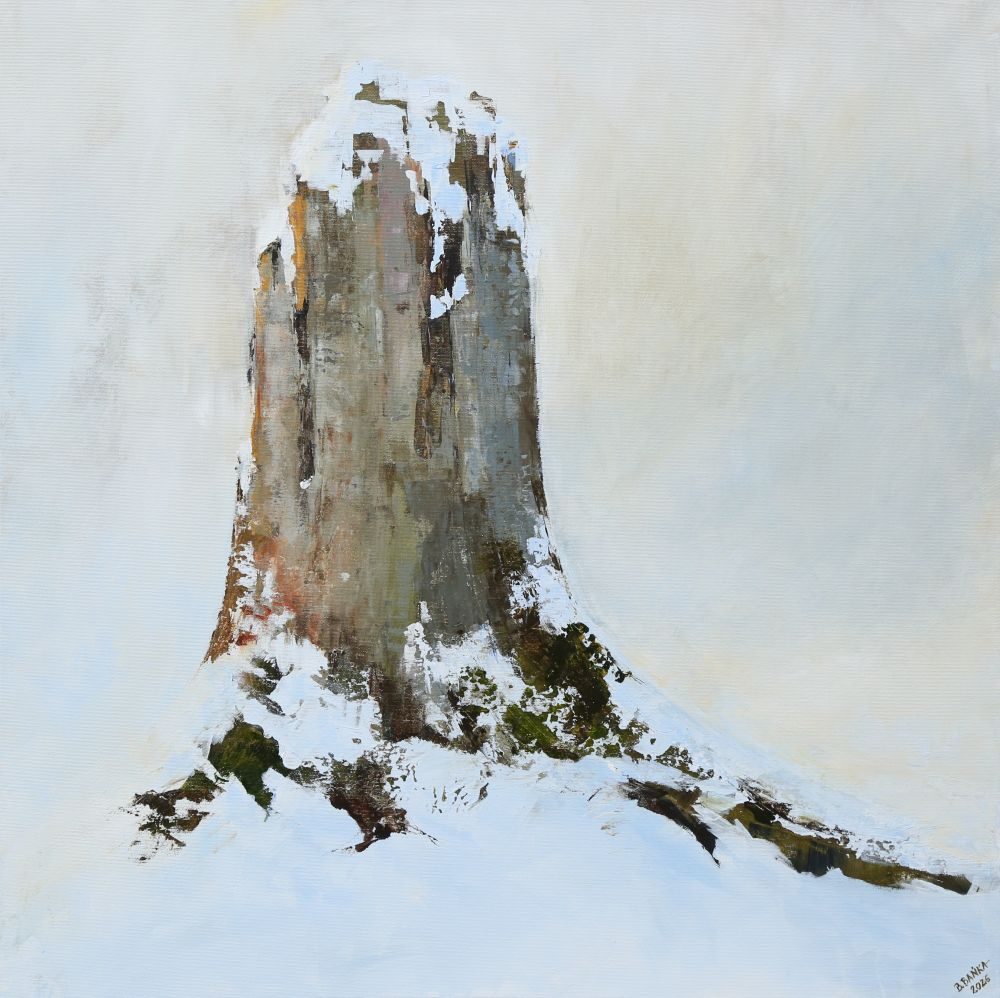 Dead Spruce Trunk In White, 2026 - Barbara Bańka