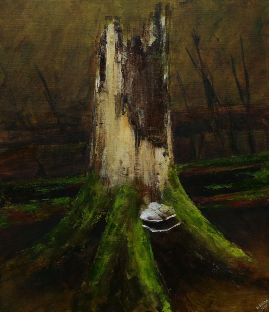 Dead Spruce Trunk (With Two Polypors), 2026 - Barbara Bańka