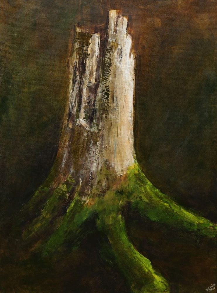 Desd Spruce Trunk (with a paw), 2026 - Barbara Bańka