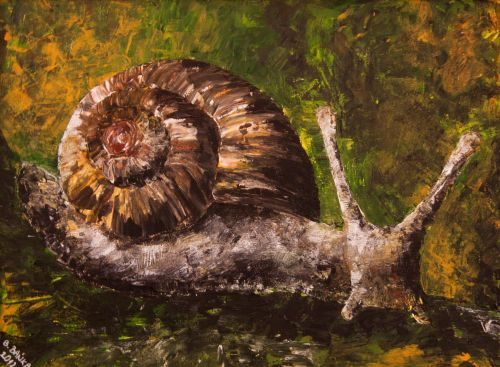 The Snail, 2012 - Barbara Bańka