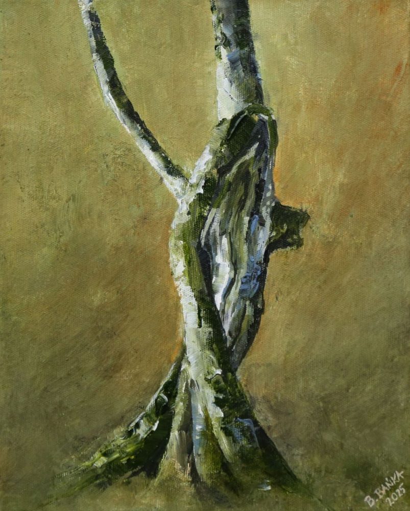 The Dancing Tree, 2025 - Barbara Bańka